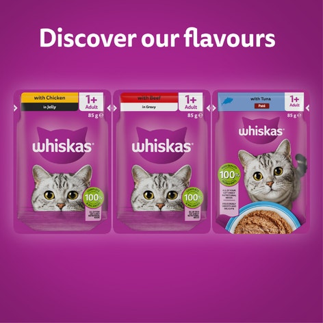 whiskas variety pack mixed menu pouches