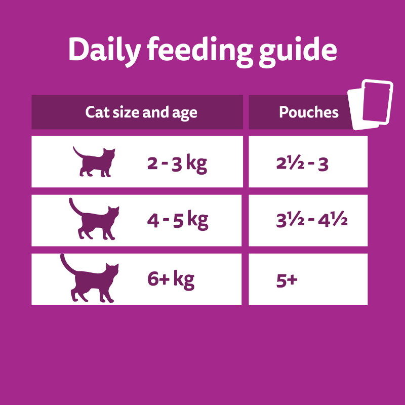 Daily feeding guide for whiskas mixed favourites pate